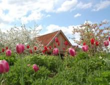 Foto mit freundlicher Unterstützung der Bad Zwischenahner Touristik GmbH